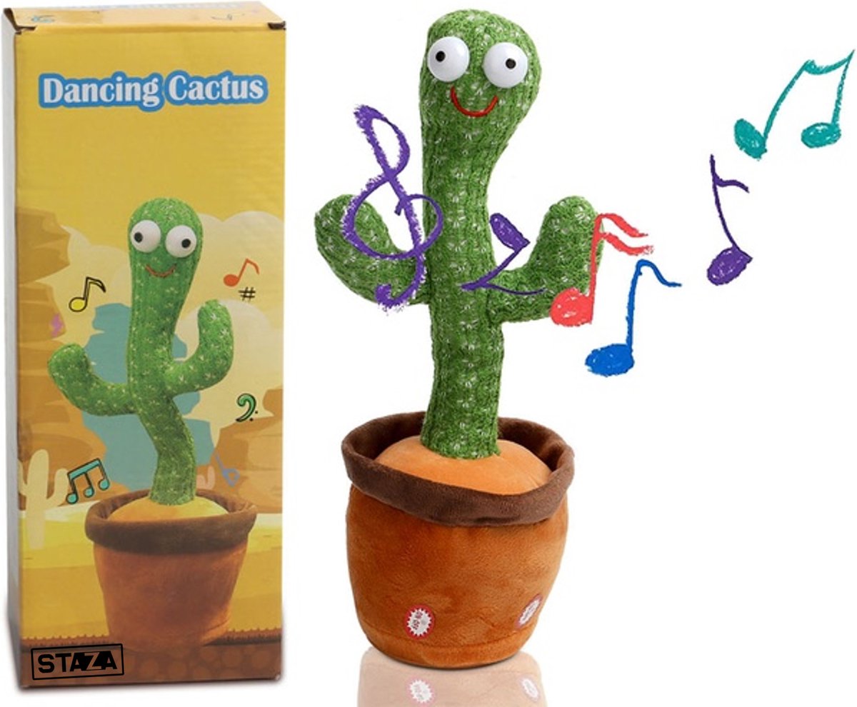 Dansende cactus – Staza