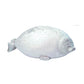 Bob de Zeehond XXL 80 cm – Knuffel & Body Pillow