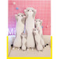 Kat Mood Knuffel 50 cm Grijs – Zacht TikTok Kussen