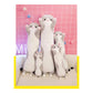 Staza Kat Knuffel 50 cm – Kawaii Poes Kussen Grijs